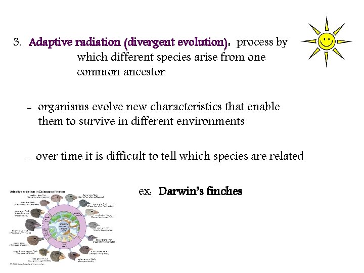 3. Adaptive radiation (divergent evolution): process by which different species arise from one common