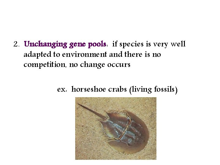 2. Unchanging gene pools: if species is very well adapted to environment and there