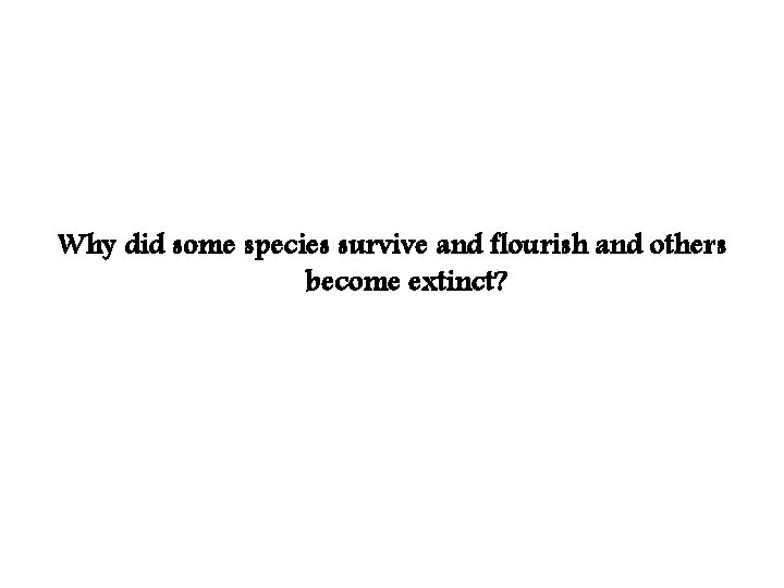 Why did some species survive and flourish and others become extinct? 