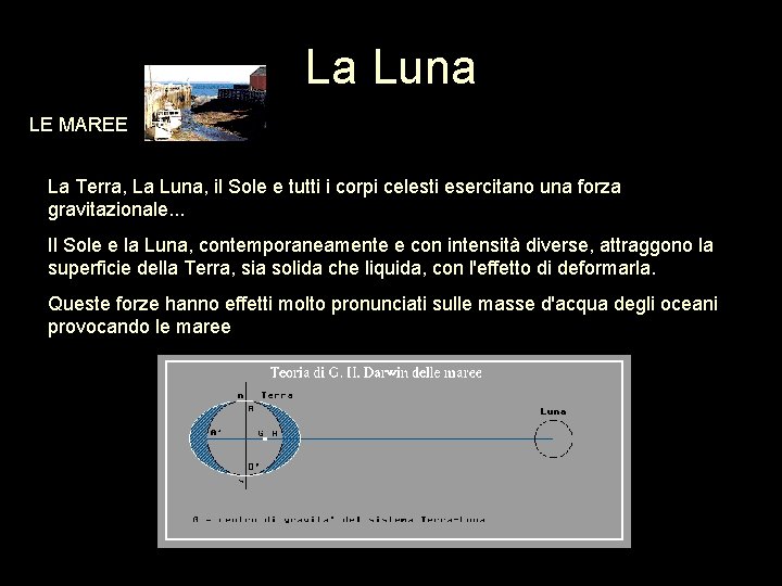 La Luna LE MAREE La Terra, La Luna, il Sole e tutti i corpi La Luna LE MAREE La Terra, La Luna, il Sole e tutti i corpi