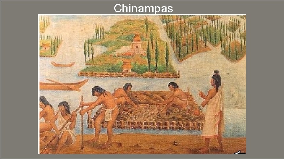 Chinampas 