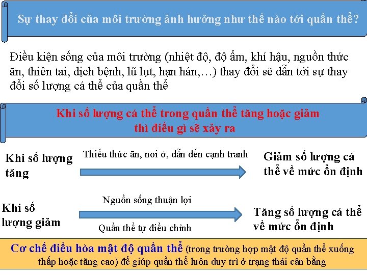 Sự thay đổi của môi trường ảnh hưởng như thế nào tới quần thể?