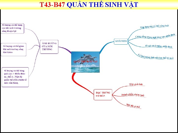 T 43 B 47 QUẦN THỂ SINH VẬT 