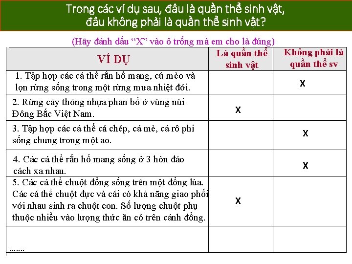 Trong các ví dụ sau, đâu là quần thể sinh vật, đâu không phải