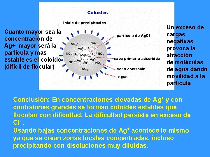Cuanto mayor sea la concentración de Ag+ mayor será la partícula y mas estable