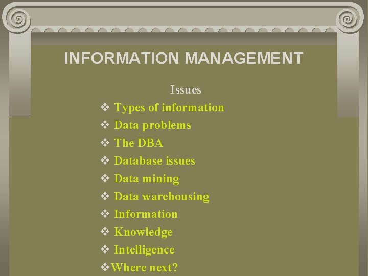 INFORMATION MANAGEMENT Issues v Types of information v Data problems v The DBA v