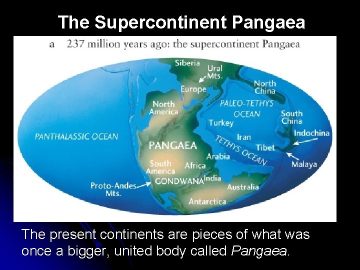 The Supercontinent Pangaea The present continents are pieces of what was once a bigger,