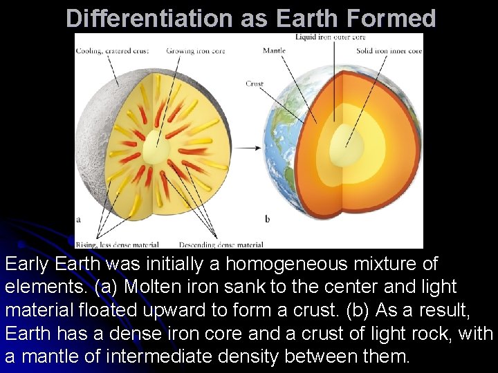 Differentiation as Earth Formed Early Earth was initially a homogeneous mixture of elements. (a)