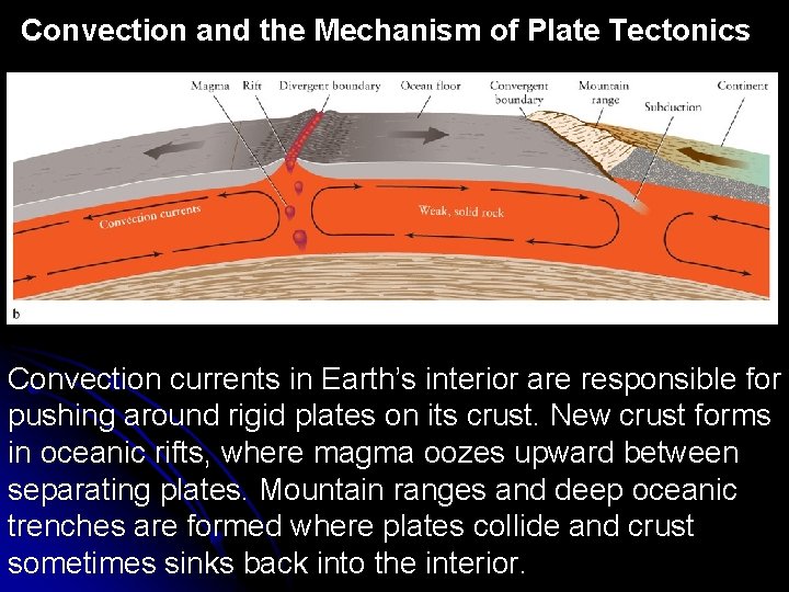 Convection and the Mechanism of Plate Tectonics Convection currents in Earth’s interior are responsible