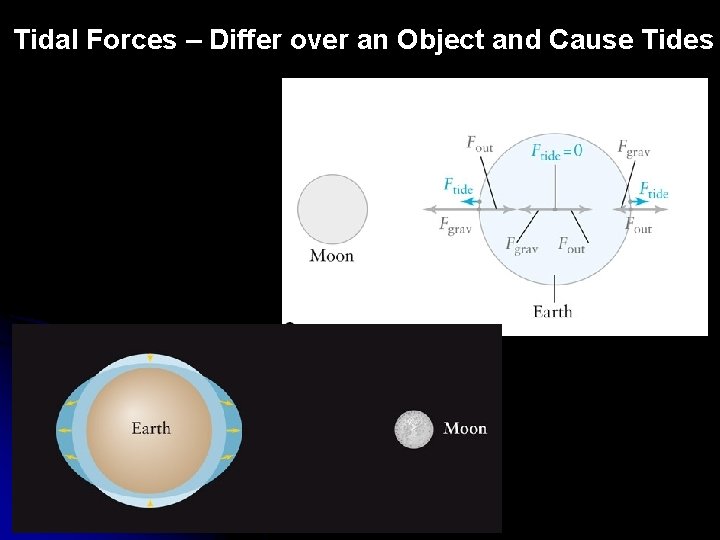 Tidal Forces – Differ over an Object and Cause Tides 