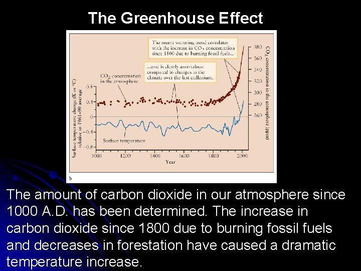 The Greenhouse Effect The amount of carbon dioxide in our atmosphere since 1000 A.
