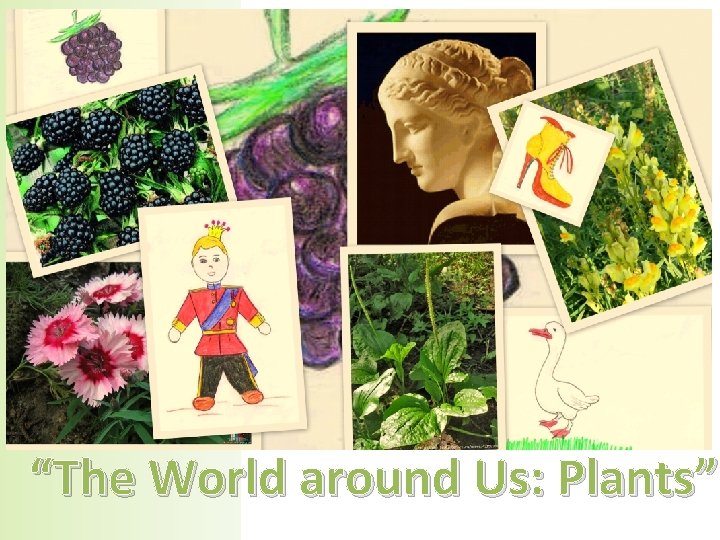 “The World around Us: Plants” 