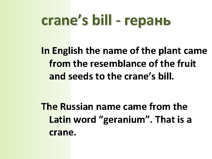 сrane’s bill - герань In English the name of the plant came from the