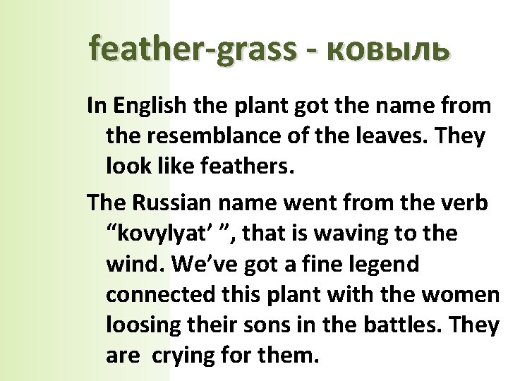 feather-grass - ковыль In English the plant got the name from the resemblance of