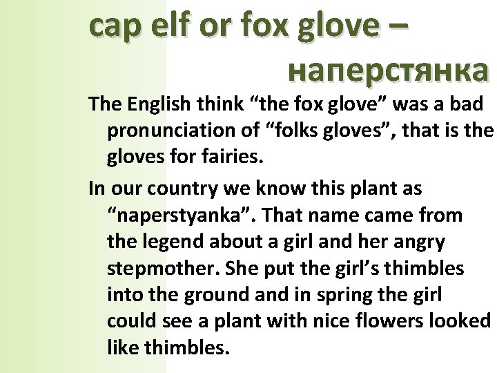 cap elf or fox glove – наперстянка The English think “the fox glove” was