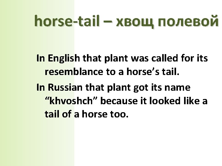 horse-tail – хвощ полевой In English that plant was called for its resemblance to