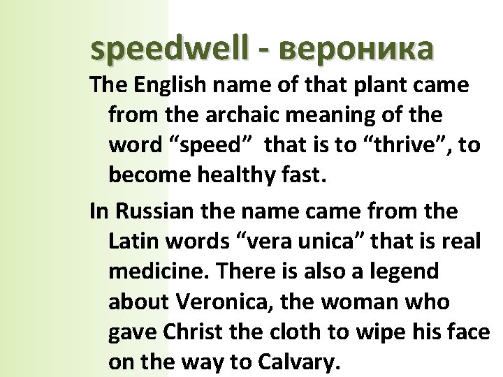 speedwell - вероника The English name of that plant came from the archaic meaning