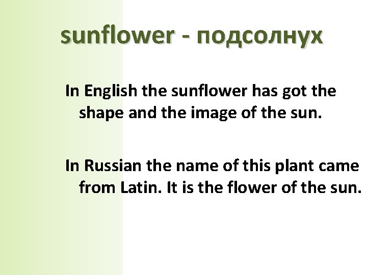 sunflower - подсолнух In English the sunflower has got the shape and the image