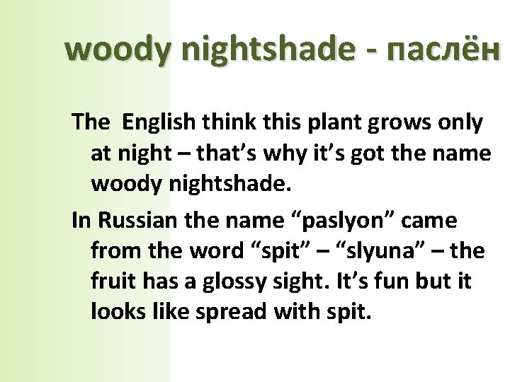 woody nightshade - паслён The English think this plant grows only at night –