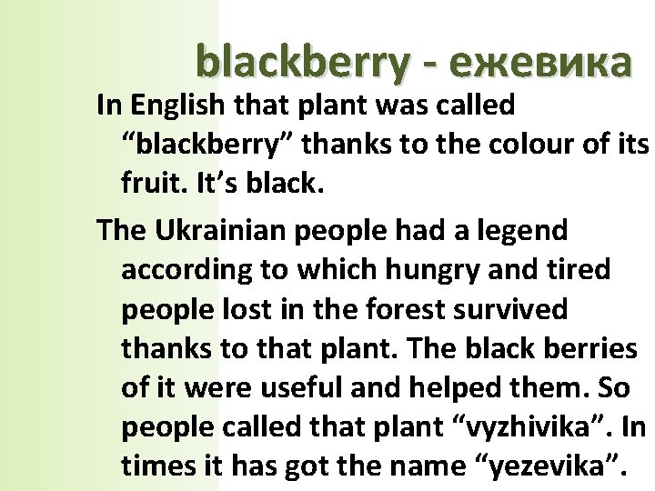 blackberry - ежевика In English that plant was called “blackberry” thanks to the colour