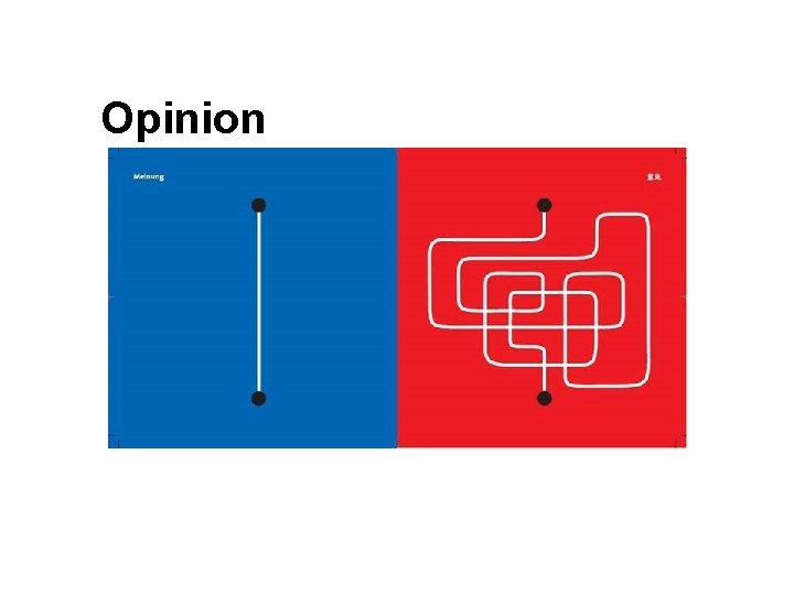 Opinion 