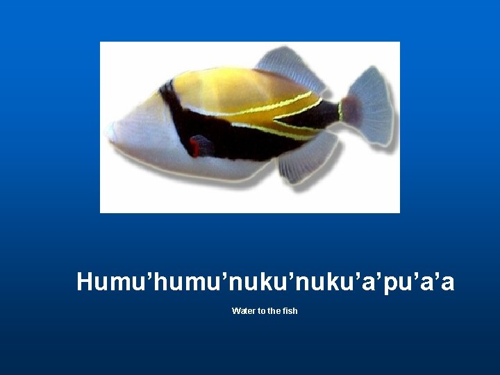 Humu’humu’nuku’a’pu’a’a Water to the fish 
