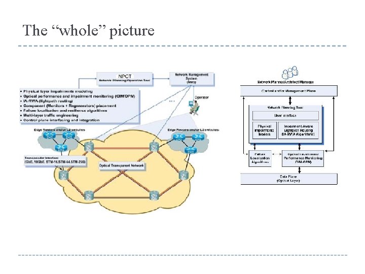 The “whole” picture 