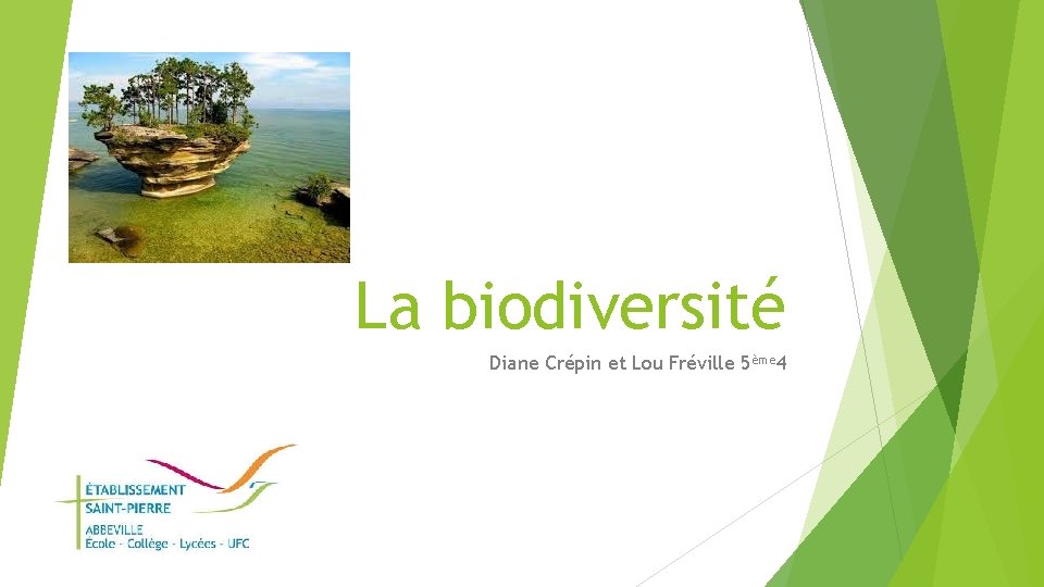La biodiversité Diane Crépin et Lou Fréville 5ème 4 