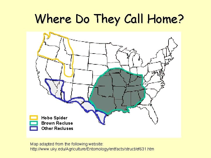 Where Do They Call Home? Hobo Spider Brown Recluse Other Recluses Map adapted from