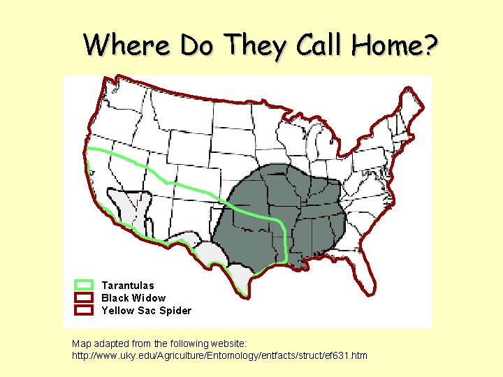 Where Do They Call Home? Tarantulas Black Widow Yellow Sac Spider Map adapted from