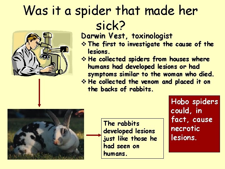 Was it a spider that made her sick? Darwin Vest, toxinologist v The first