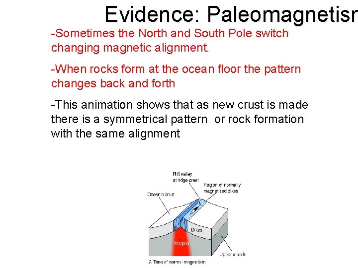 Evidence: Paleomagnetism -Sometimes the North and South Pole switch changing magnetic alignment. -When rocks