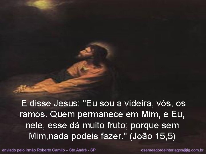 E disse Jesus: "Eu sou a videira, vós, os ramos. Quem permanece em Mim,