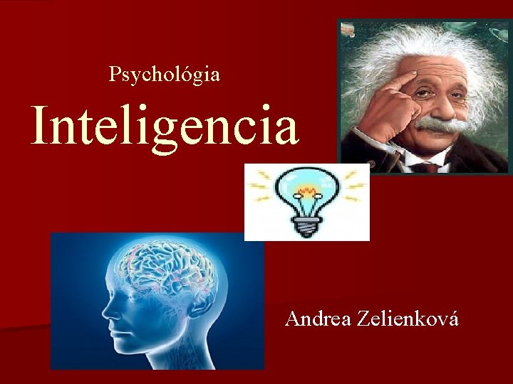 Psychológia Inteligencia Andrea Zelienková 