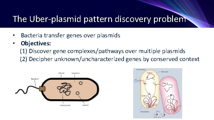 The Uber-plasmid pattern discovery problem • Bacteria transfer genes over plasmids • Objectives: (1)