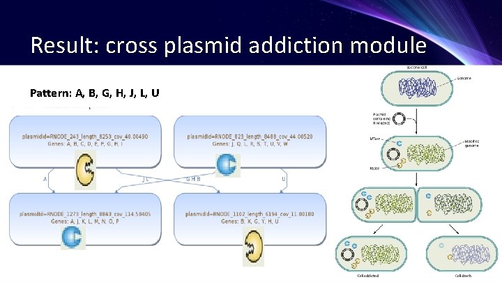Result: cross plasmid addiction module Pattern: A, B, G, H, J, L, U 