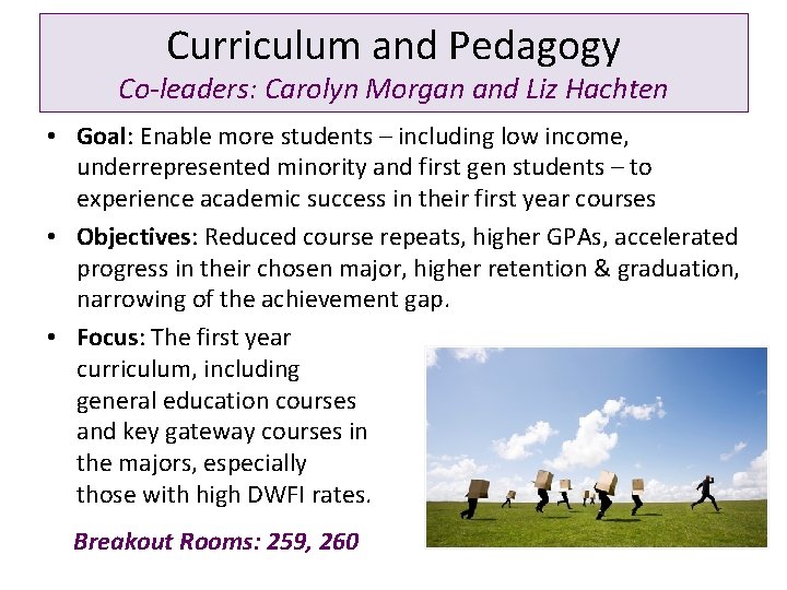 Curriculum and Pedagogy Co-leaders: Carolyn Morgan and Liz Hachten • Goal: Enable more students