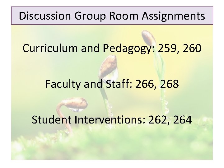 Discussion Group Room Assignments Curriculum and Pedagogy: 259, 260 Faculty and Staff: 266, 268