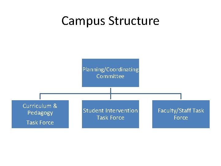 Campus Structure Planning/Coordinating Committee Curriculum & Pedagogy Task Force Student Intervention Task Force Faculty/Staff