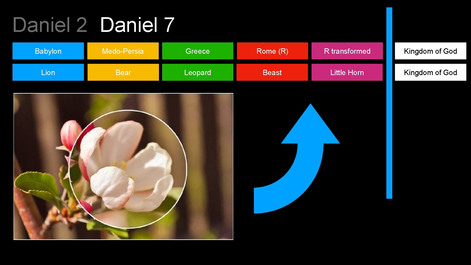 Daniel 2 Daniel 7 Babylon Medo-Persia Greece Rome (R) R transformed Kingdom of God