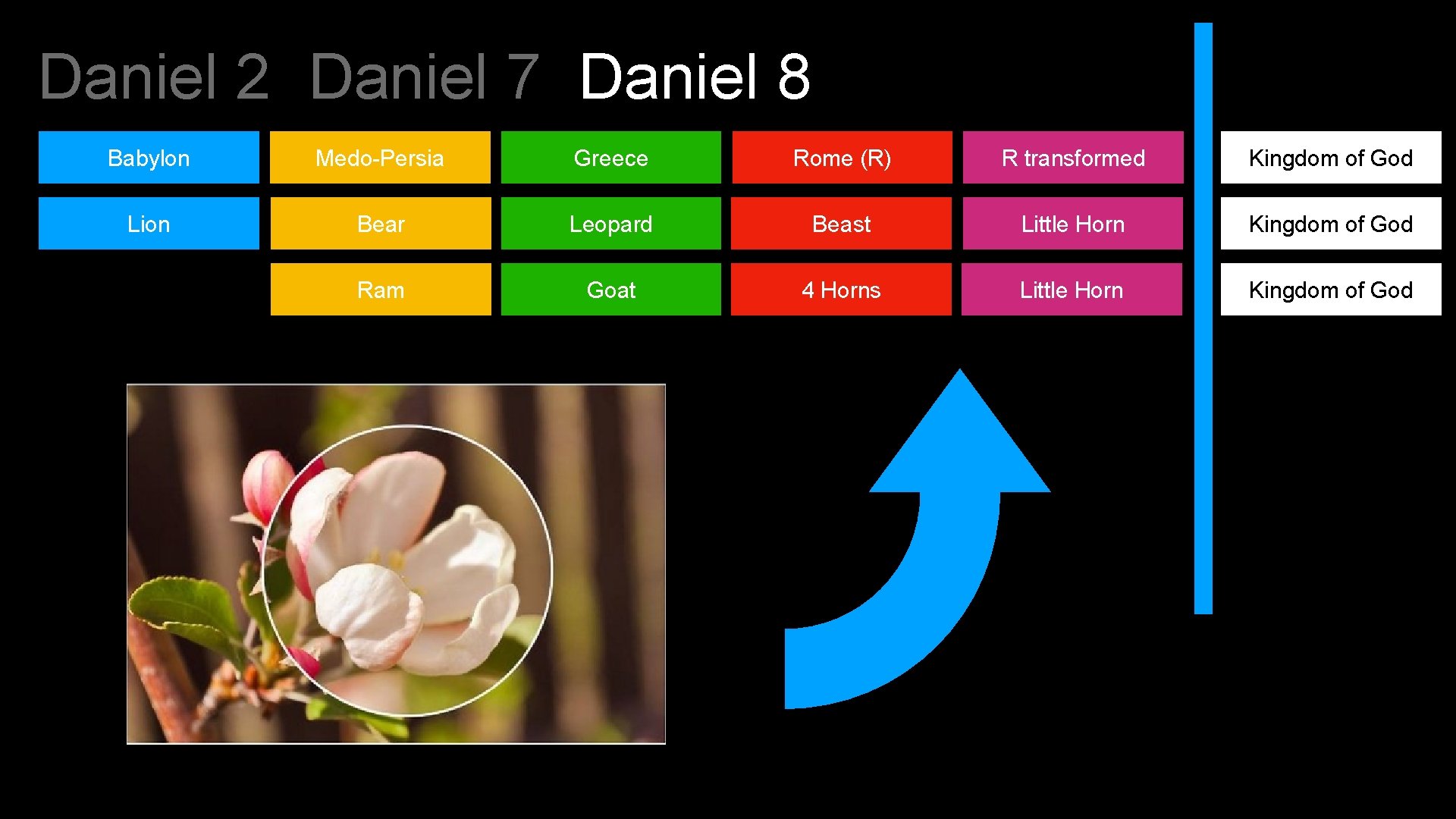 Daniel 2 Daniel 7 Daniel 8 Babylon Medo-Persia Greece Rome (R) R transformed Kingdom