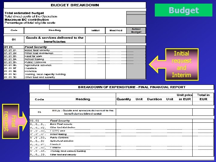 Budget Initial request and Interim Final request 