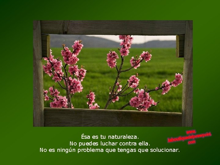 Ésa es tu naturaleza. No puedes luchar contra ella. No es ningún problema que