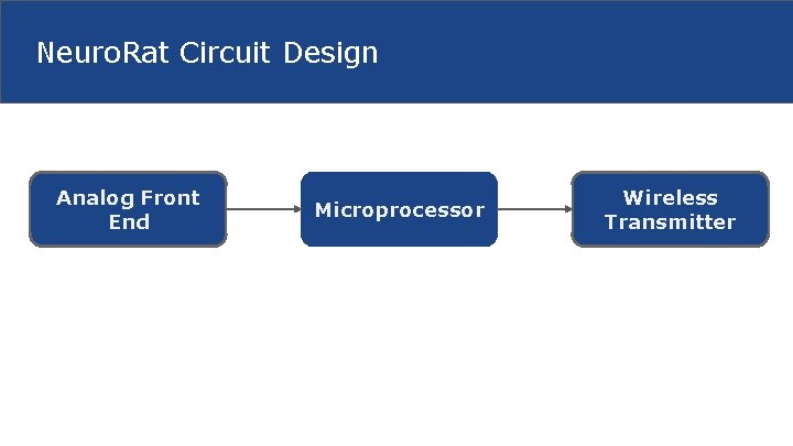 Neuro. Rat Circuit Design Analog Front End Microprocessor Wireless Transmitter 
