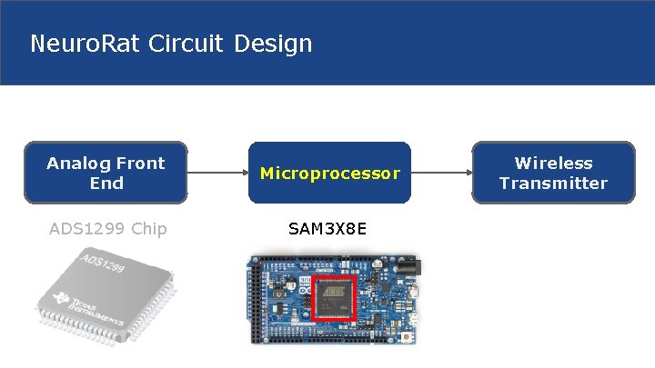 Neuro. Rat Circuit Design Analog Front End Microprocessor ADS 1299 Chip SAM 3 X