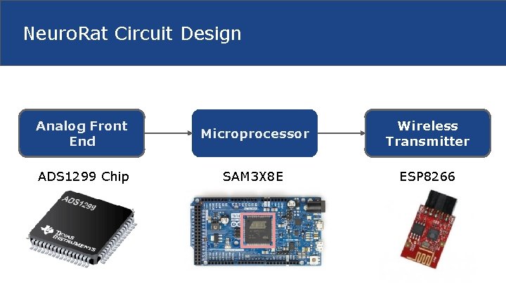 Neuro. Rat Circuit Design Analog Front End Microprocessor Wireless Transmitter ADS 1299 Chip SAM