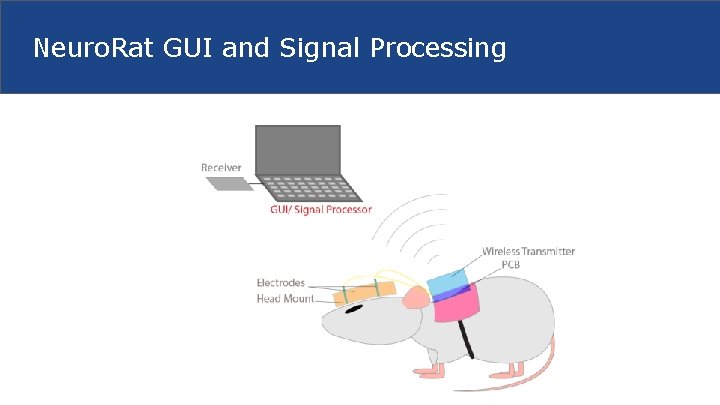 Neuro. Rat GUI and Signal Processing 