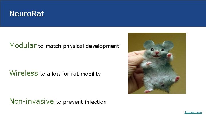 Neuro. Rat Modular to match physical development Wireless to allow for rat mobility Non-invasive