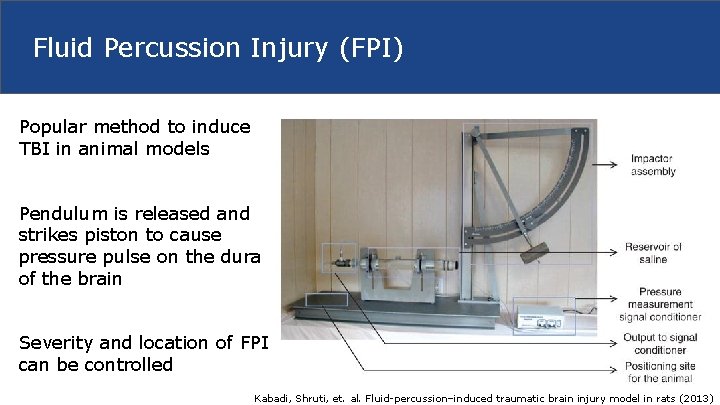 Fluid Percussion Injury (FPI) Popular method to induce TBI in animal models Pendulum is