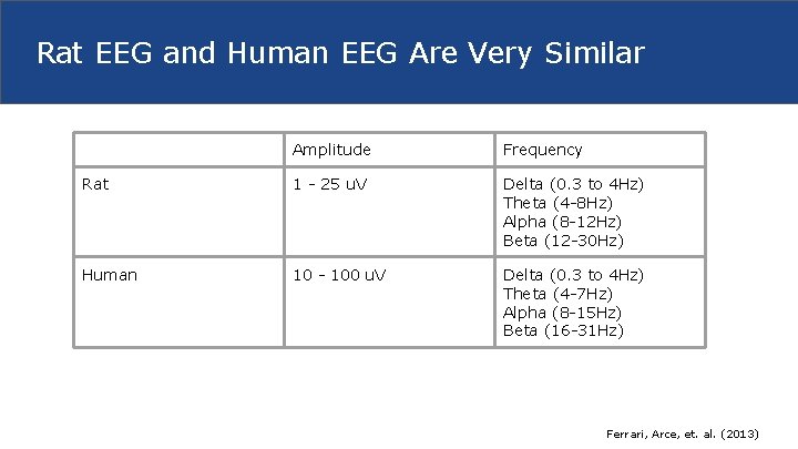 Rat EEG and Human EEG Are Very Similar Amplitude Frequency Rat 1 - 25